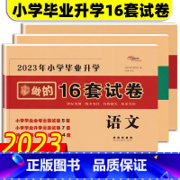 [通用版]语文数学英语3本 小学升初中 [正版]2023年小学毕业升学16套试卷 语文数学英语 小升初复习资料 小升初系