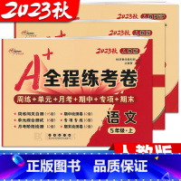 3本:[人教版语+数+英] 五年级上 [正版]2023秋 全程练考卷人教版小学数学试卷五年级上册下册人教版语文英语单元测