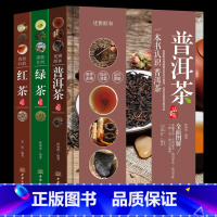 [正版]茶书3册 一本书认识普洱茶红茶绿茶品鉴全图解识茶泡茶品茶收藏存储面关于中国名茶茶艺书籍入门教程书 茶叶茶经茶文