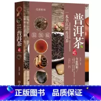 [正版] 普洱茶品鉴 林婧琪著 一本书认识普洱茶 优雅醇和 普洱茶手册 普洱茶茶道 茶叶选购指南 茶艺大全 艺术收藏鉴