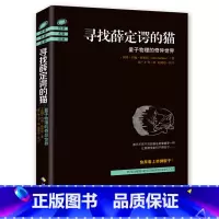 [正版] 科普名家经典 寻找薛定谔的猫 量子物理的奇异世界 约翰·格里宾 量子力学入门书 科学又有趣的量子物理发展史畅