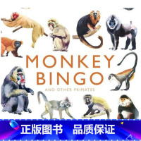 [正版]Monkey Bingo,猴子宾戈游戏 英文儿童游戏图书