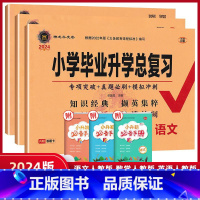 语数英[人教版] 小学升初中 [正版]任选2024版小学毕业升学总复习语文数学英语3本全套 归类复习题型专练模拟测试卷小