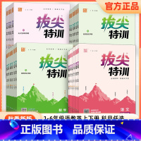 语文 人教版 一年级上 [正版]2023新版通城学典拔尖特训一二三四五六年级上册语文数学英语人教版苏教北师版小学同步训练