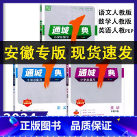 2024语文[安徽专用] 小学通用 [正版]2024通城1典小学总复习语文数学英语安徽版人教版PEP版专项训练习小学6六