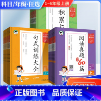 [下册]阅读真题60篇 小学一年级 [正版]2023秋季53小学基础练阅读真题100篇句式训练大全积累与默写一二三四五六