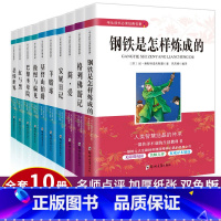 世界十大名著10册装 [正版]世界十大名著全套10册简爱书籍巴黎圣母院傲慢与偏见悲惨世界基督山伯爵原著文学书经典小说