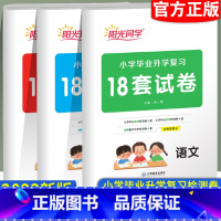 语文+数学+英语 小学升初中 [正版]2023新小学毕业升学复习语文数学英语18套试卷人教版检测卷思维训练同步专项训练书