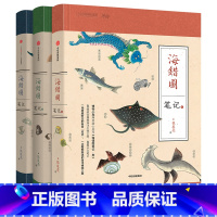 [3册]海错图笔记 [正版]灭绝生物图鉴 揭秘生物繁荣与灭绝的历史99幅充满现实感的手绘神秘动物图鉴灭绝动物档案科普书