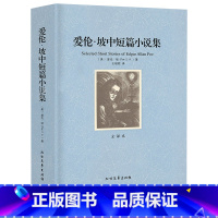 爱伦·坡中短篇小说集 [正版]爱伦坡短篇小说集 全译本共382页外国中短篇小说中文原版原著世界经典文学侦探推理恐怖惊悚小