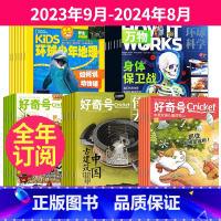 1[跨年订阅]23年9月-24年8月 [正版]好奇号+环球少年地理+万物杂志组合 2023年9-10-11月起订全年订阅