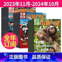 1[跨年订阅]2023年11月-2024年10月 [正版]趣味科学(小哥白尼)+军事科学(小哥白尼)+动物(小哥白尼)杂