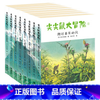 [正版] 尖尖鼠大冒险系列 套装全8册 岩村和朗写给小学生的自然童话故事绘本儿童动物文学课外阅读睡前故事书二三四年级书