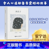 [正版]冰房子 安宁达著文化奖得主安宁达作品用伤感的故事讲述守护陪伴和坚持的意义坚定地守护自己所珍视漫画书