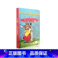 [正版]英文原版 i am a bunny 我是一只兔子 大自然之美 纸板书 2-5岁 儿童英语故事书 幼儿0-3