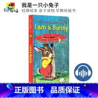 [正版]I am a Bunny 我是一只兔子 Richard Scarry 经典绘本 幼儿英语 廖彩杏 早教纸板书