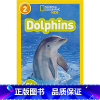 海豚 [正版]National Geographic Kids Level 2 Reader 水族 飞行动物 丑陋动物