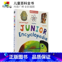 [正版]Junior Encyclopedia 儿童英语百科全书 主题多样 9-12岁 英文原版进口儿童图书