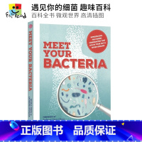 [正版]Meet Your Bacteria 遇见你的细菌 儿童百科全书 英语读物 微观世界认识细菌 英文原版进口图