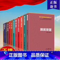 [正版]新时代新思想标识性概念丛书全13册国家治理体系和治理能力现代化+坚定四个自信+总体国家安全观+脱贫攻坚+社会主