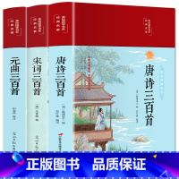 [正版]彩绘精装唐诗宋词元曲三百首诗经楚辞全注全译全解全集中国古诗词大全集鉴赏辞典古诗风雅颂300首小学生初高中生国学