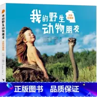 我的野生动物朋友 [正版]我的动物朋友完整版蒂皮德格雷二年级小学生课外阅读必读书籍人与自然科学科普百科8-10-12周岁