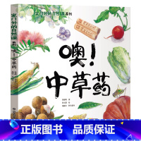 噢!中草药 [正版]家门外的自然课——看!蜗牛 拥抱自然懂艺术的孩子会生活儿童科普图画书儿童科普百科全书揭秘发现自然系列