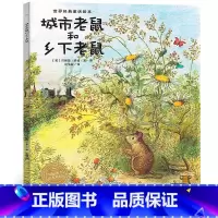 城市老鼠 和乡下老鼠 [正版]任选4本36「社交情商亲情与爱」平装 城市老鼠和乡下老鼠/海豚绘本花园生命教育0-3-6岁