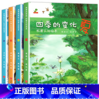 四季的变化科普认知绘本 [正版]老师全套4册四季的变化科普绘本儿童绘本大班小班故事书关于春夏秋冬四季的绘本24节气故事书