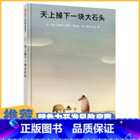 天上掉下一块大石头 [正版]天上掉下一块大石头 精装儿童3-6岁绘本阅读经典童话必读书目幼儿园亲子早教共读宝宝睡前读物启