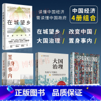 [正版]4册置身事内+在城望乡+改变中国+大国治理 中国政府金融体系直面问题深究逻辑管理书籍投资 兰小欢 上海人民出版