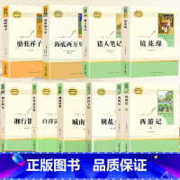 [上册]全套7本 七年级/初中一年级 [正版]七年级上下册阅读名著导读考点精练初中朝花夕拾骆驼祥子城南旧事海底两万里猎人