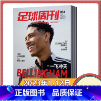 [全年订阅]2023年1-12月共24期单期发货 [正版]全年订阅足球周刊杂志 2023年1-6/7-12月全年/半年/