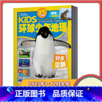 [全年订阅]2023年1-12月 [正版]kids环球少年地理少年版杂志2023年1-11月+2022年 2024年订阅