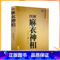 [正版] 图解麻衣神相 相术书籍中国古代相学名著金志文译注