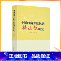 [正版] 中国西南少数民族梅山教研究 张泽洪 廖玲著 宗教文化出版社463页