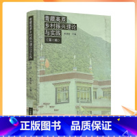 [正版] 青藏高原乡村振兴理论与实践 第二辑 索端智主编 中国藏学出版社482页