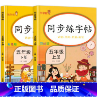 [全套2册]同步练字帖五年级上册+下册 小学五年级 [正版]同步练字帖五年级上册 识字练字写字默写同步专项训练字帖天天练