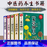 [正版]中医书籍全套5册 彩图版 本草纲目李时珍+黄帝内经+神农本草经+汤头歌诀+千金方 中医四大名著基础理论书籍中药