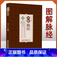 [正版]图解脉经 脉形状指下秘决 平脉视人大小长短男女逆顺法 两手六脉所主五脏六腑阴阳逆顺脉形状指下秘决 平脉视人大