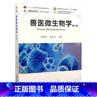 兽医微生物学 [正版]新书 兽医微生物学第六版陆承平刘永杰主编第6版 9787109284432 中国农业出版社