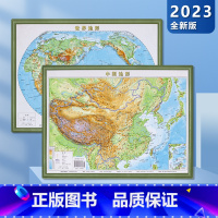 [正版]套装共2张中国地图3d立体图2023全新版 27*36cm 中国地形世界地形图 地图挂图 3d凹凸 三维地貌地