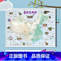 [正版]全新AR版 中国地图恐龙再现 恐龙地图超大约1.2*0.9米 儿童房地图 恐龙百科恐龙进化发展史 中国地图挂图