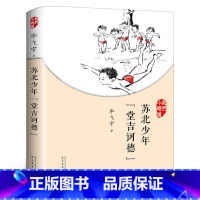 [正版]苏北少年堂吉诃德 我们小时候系列毕飞宇散文集 六年级百班千人祖庆说大阅小森 小学生课外书必读书籍 人民文学出版