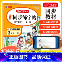 同步练字帖 三年级上 [正版]三年级练字帖每日一练 小学三年级上册语文同步字帖人教版写字帖笔画笔顺生字练字帖描红练习册训