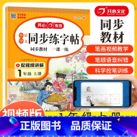 同步练字帖 一年级上 [正版]一年级练字帖每日一练 小学一年级上册语文同步字帖人教版写字帖笔画笔顺生字练字帖描红练习册训