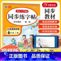 同步练字帖 六年级上 [正版]六年级练字帖每日一练 小学六年级上册语文同步字帖人教版写字帖笔画笔顺生字练字帖描红练习册训