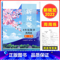 [正版]2022上海版 新视觉八年级下册 数学周周练 含参考答案 初中8年级下册第二学期 上海初中沪教版数学辅导用书