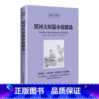 契诃夫短篇小说精选 [正版] 中英文世界名著 全套84册 读名著学英语 小王子傲慢与偏见简爱飘红与黑中英文对照 英汉互译