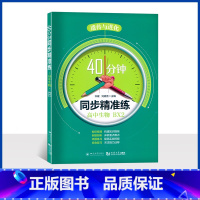 高中生物 40分钟同步精准练 必修第二册 [正版]40分钟 同步精准练 高中生物BX2必修2 高中生物练习册生物学 上海